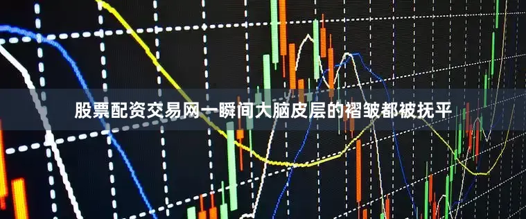股票配资交易网一瞬间大脑皮层的褶皱都被抚平