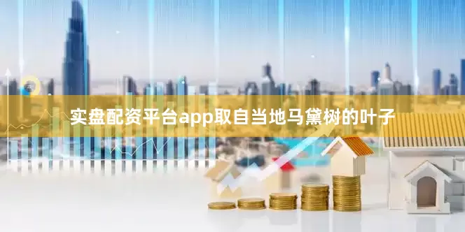 实盘配资平台app取自当地马黛树的叶子