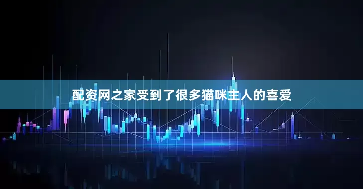 配资网之家受到了很多猫咪主人的喜爱