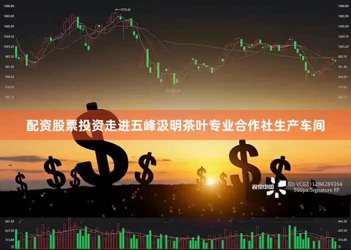 配资股票投资　　走进五峰汲明茶叶专业合作社生产车间