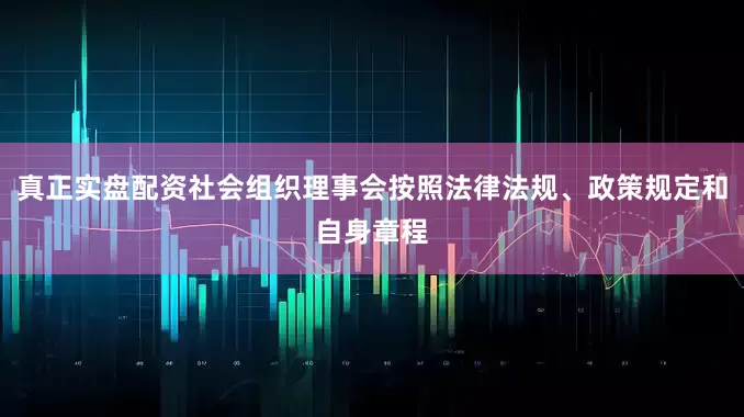 真正实盘配资社会组织理事会按照法律法规、政策规定和自身章程